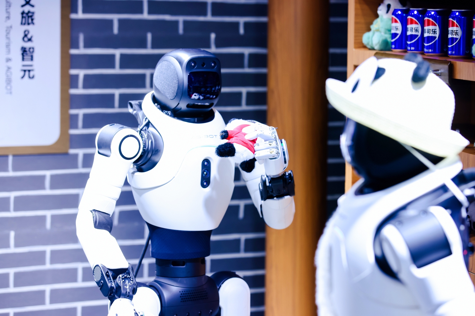 The AGIBOT X2 EDU