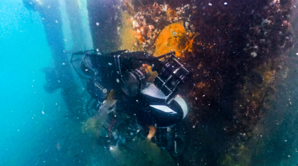 SEAHI ROBOTICS gets China approval for 'world-first' ocean AI foundation model - RobotHOT