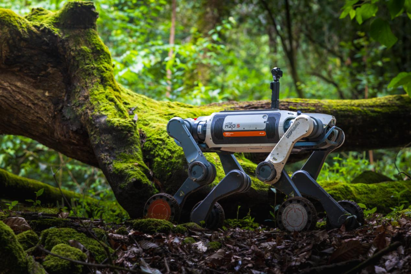 From Forest Trails to Wildlife Habitats: A Robot Dog of DEEP Robotics Joins a Mountain Research Expedition - RobotHOT