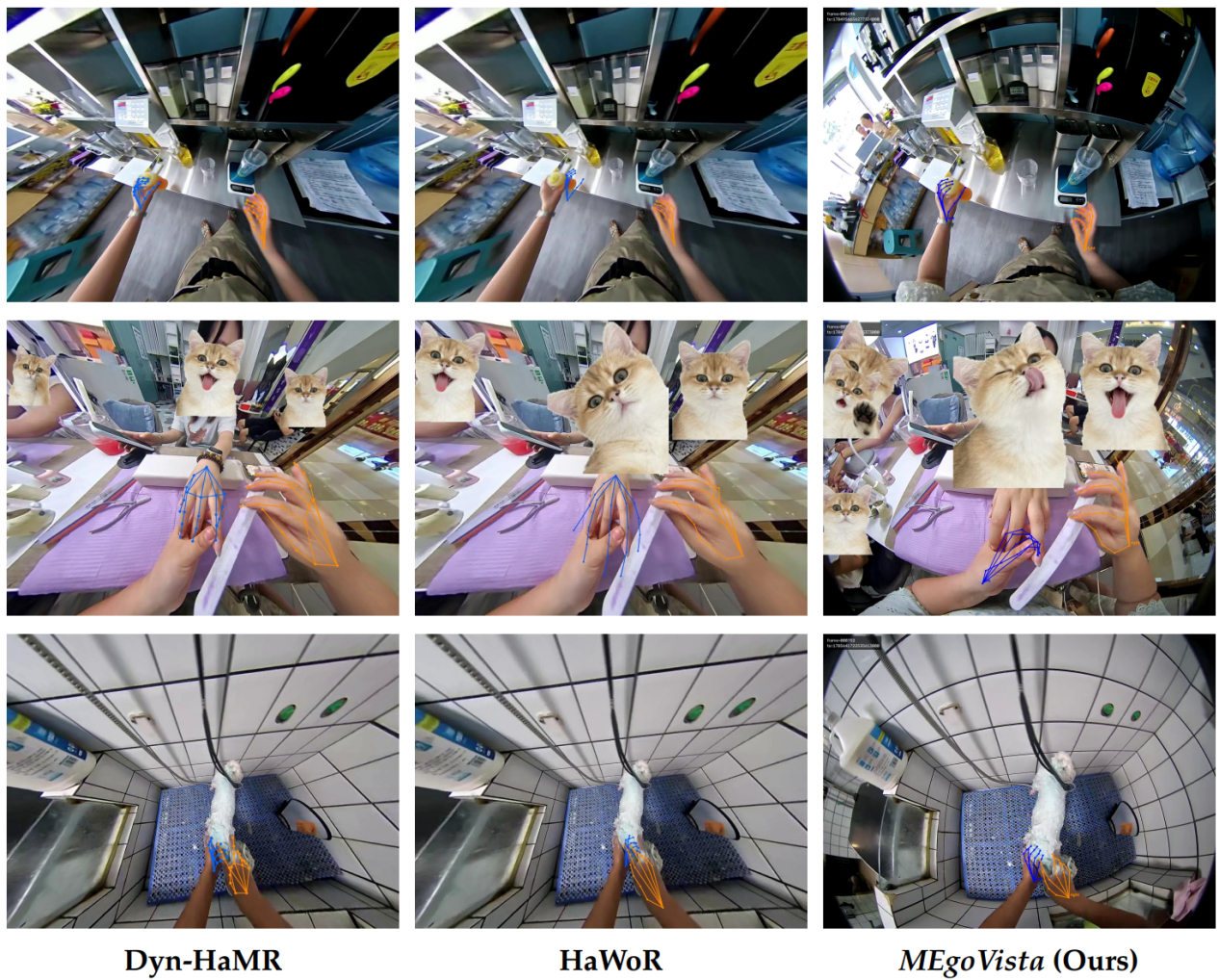 Chinese researchers develop MEgoVista to turn ego video into 4D data for robots